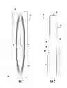 Fig. 02 - RESONANT MAGNETIC RING ANTENNA