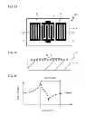 Fig. 02 - Acoustic wave filter, duplexer, and module