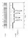 Fig. 05 - Multimode elastic wave device