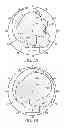 Fig. 07 - Multi-input multi-output antenna with electromagnetic band-gap structure