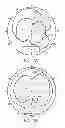 Fig. 09 - Multi-input multi-output antenna with electromagnetic band-gap structure