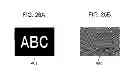 Fig. 23 - Display device and display system