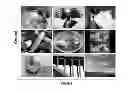 Fig. 01 - AUTOMATICALLY COMPUTING EMOTIONS AROUSED FROM IMAGES THROUGH SHAPE MODELING