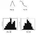 Fig. 07 - AUTOMATICALLY COMPUTING EMOTIONS AROUSED FROM IMAGES THROUGH SHAPE MODELING