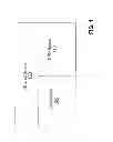Fig. 02 - Shared Virtual Memory