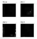 Fig. 09 - Devices and Methods for Sparse Representation of Dense Motion Vector Fields for Compression of Visual Pixel Data
