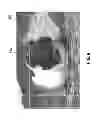 Fig. 09 - Adaptive spectral imaging for video capture