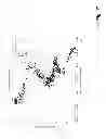 Fig. 16 - System and method for field calibrating video and lidar subsystems using facial features