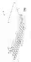 Fig. 04 - Stone article with patterned trim