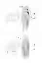 Fig. 52 - LIGHT BULB WITH LOOP ILLUMINATION ELEMENT