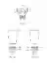 Fig. 40 - STEMMED LIGHTING ASSEMBLY WITH DISK-SHAPED ILLUMINATION ELEMENT