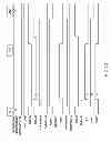 Fig. 13 - Semiconductor device having hierarchically structured bit lines