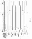 Fig. 14 - Semiconductor device having hierarchically structured bit lines