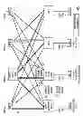 Fig. 02 - Techniques for generic pruning in a trill network