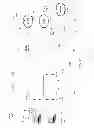 Fig. 11 - Multi-radio interference mitigation via frequency selectivity
