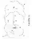 Fig. 03 - Methods and apparatus for error correction for coordinated wireless base stations