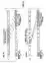 Fig. 04 - RACH preamble response with flexible UL allocation