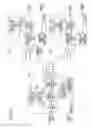 Fig. 13 - Wireless communication system and access point apparatus