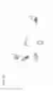 Fig. 14 - Wireless communication system and access point apparatus
