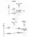 Fig. 04 - Communication control apparatus, communication control method, communication system, and wireless terminal