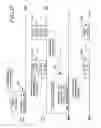 Fig. 07 - Method and device for controlling the transception of multiple pieces of control information in a wireless communication system