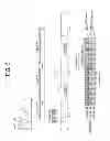 Fig. 06 - Method and apparatus for transmitting synchronization signal in carrier aggregation system