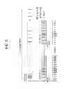 Fig. 09 - Method and apparatus for transmitting synchronization signal in carrier aggregation system