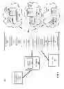 Fig. 02 - APN IP MANAGEMENT