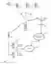 Fig. 01 - OFDM speed estimation