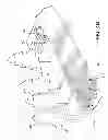 Fig. 06 - Method of identifying a tracked object for use in processing hyperspectral data