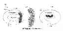Fig. 01 - Identifying location biomarkers