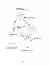 Fig. 02 - Fast image processing for recognition objectives system