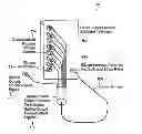 Fig. 01 - Fiber distribution device