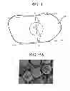 Fig. 02 - Electrostatic image developing toner, image forming apparatus, image forming method, and process cartridge
