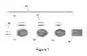 Fig. 02 - Mercury sorbents