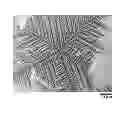 Fig. 01 - Graphene and its growth