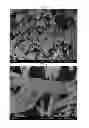 Fig. 02 - Process for producing fluorine-containing combined salt