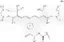 Fig. 23 - Prostate specific antigen agents and methods of using same for prostate cancer imaging