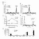 Fig. 02 - VISUALIZATION OF LIPID METABOLISM