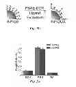 Fig. 03 - Theranostic nanoparticle and methods for making and using the nanoparticle