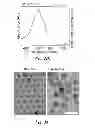 Fig. 04 - Theranostic nanoparticle and methods for making and using the nanoparticle