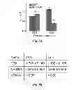 Fig. 07 - Theranostic nanoparticle and methods for making and using the nanoparticle