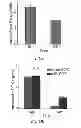 Fig. 08 - Theranostic nanoparticle and methods for making and using the nanoparticle