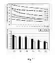 Fig. 02 - Method for Improving Penetration or Long Term Adhesion of Compositions to Dental Tissues and Compositions Usable in Said Method