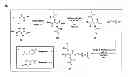 Fig. 01 - Polyesters and methods of use thereof