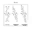 Fig. 07 - Polyesters and methods of use thereof