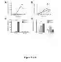 Fig. 06 - Method of Treating Transplant Rejection and Autoimmune Diseases