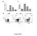 Fig. 07 - Method of Treating Transplant Rejection and Autoimmune Diseases