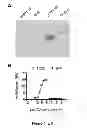 Fig. 09 - Method of Treating Transplant Rejection and Autoimmune Diseases