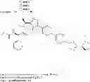 Fig. 656 - Hepatitis C virus inhibitors